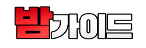 밤가이드 로고